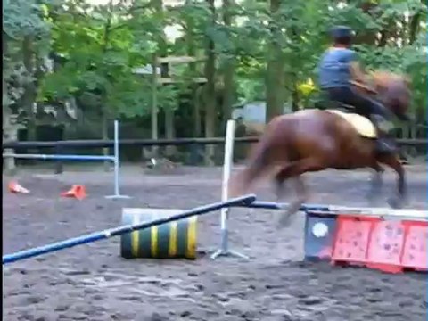 Salina des Joncs, Entrainement CSO Juin 2011