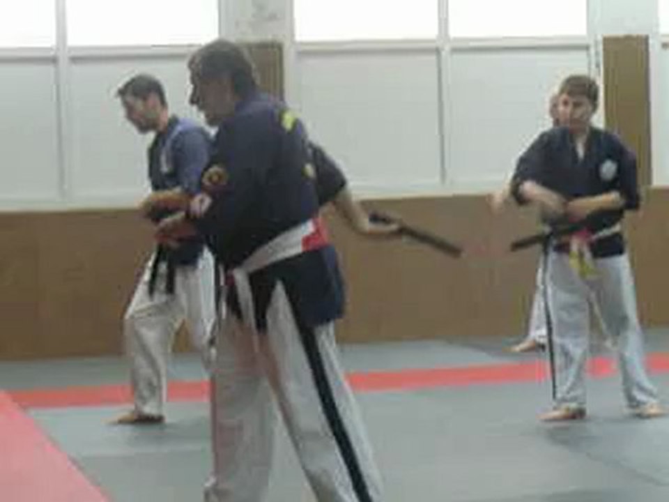 Quelques détails sur le kata de nunchaku SANPO