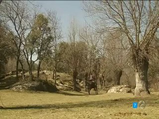 TRISTAN SE CAE DEL CABALLO PENSANDO EN PEPA ESDPV 03-05-2012