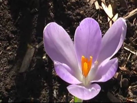 Весна в Москве