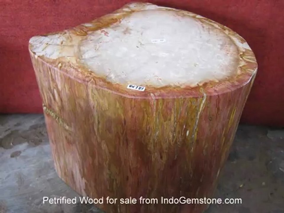 Petrified Wood for sale