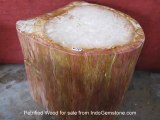 Petrified Wood for sale