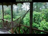 Costa Rica Ecotourism Rainforest Rara Avis