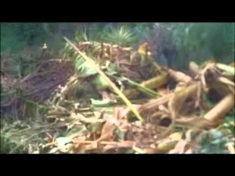 Aversa (CE) - Il Liceo Fermi tra i rifiuti, allarme degli studenti (13.05.12)