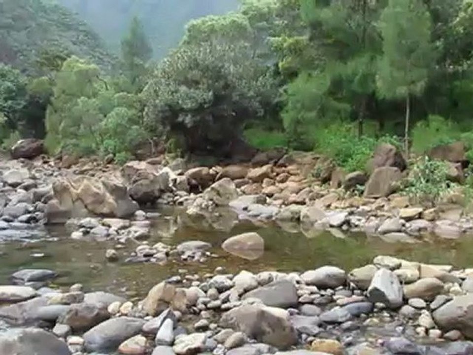 Dumbea
