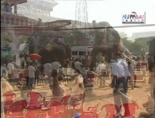 Mumbai Pooram Closing Ceremony