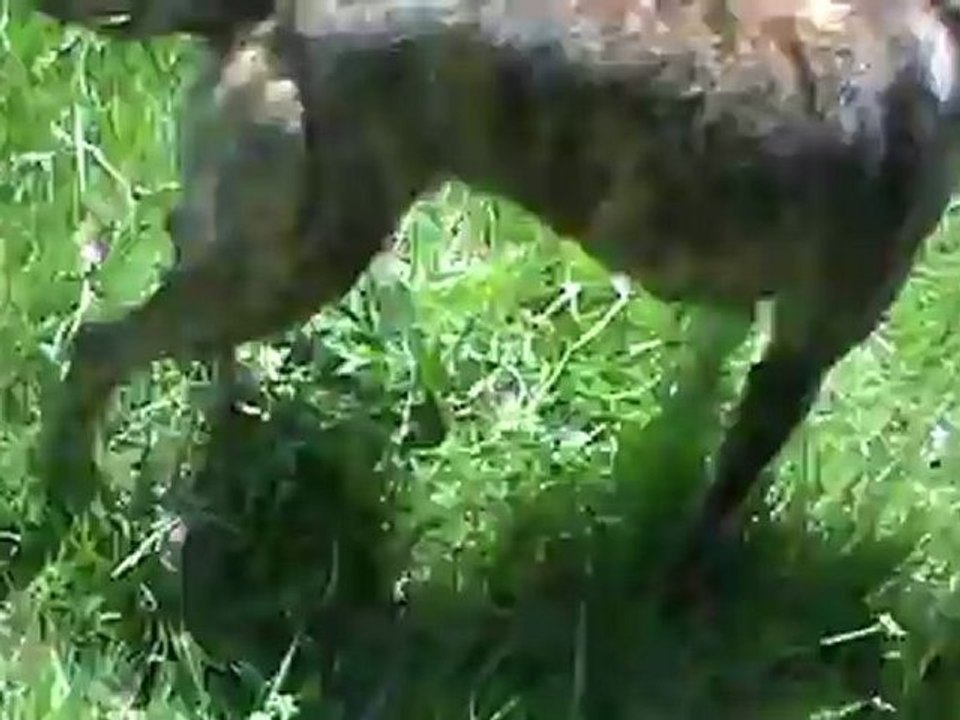 débourrage en recherche utilitaire