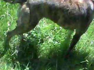 débourrage en recherche utilitaire