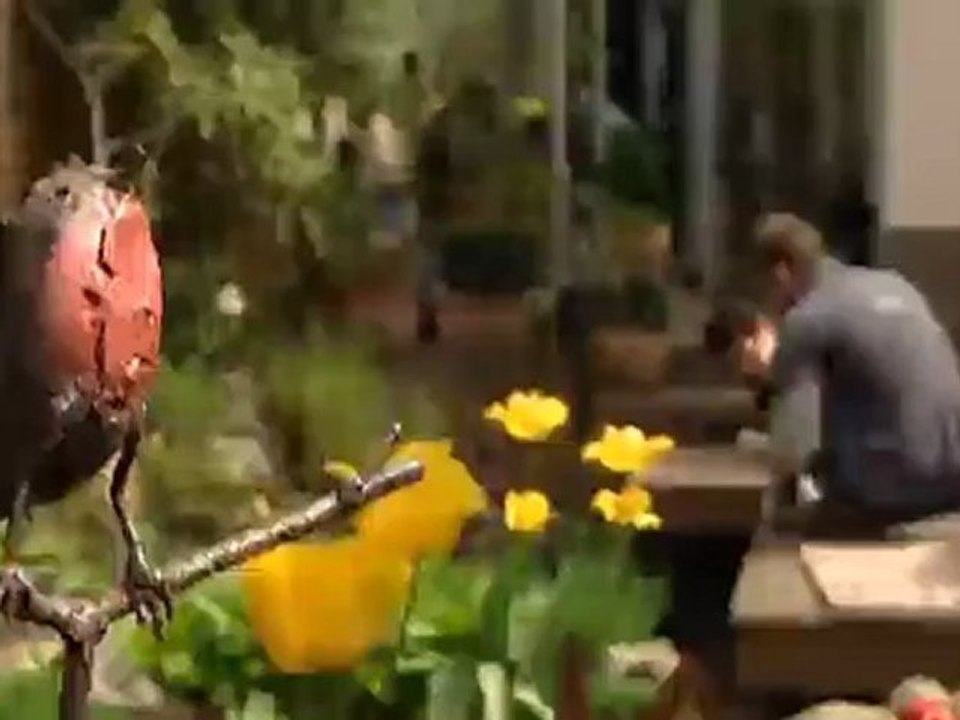 Highlights of the week | Euromaxx