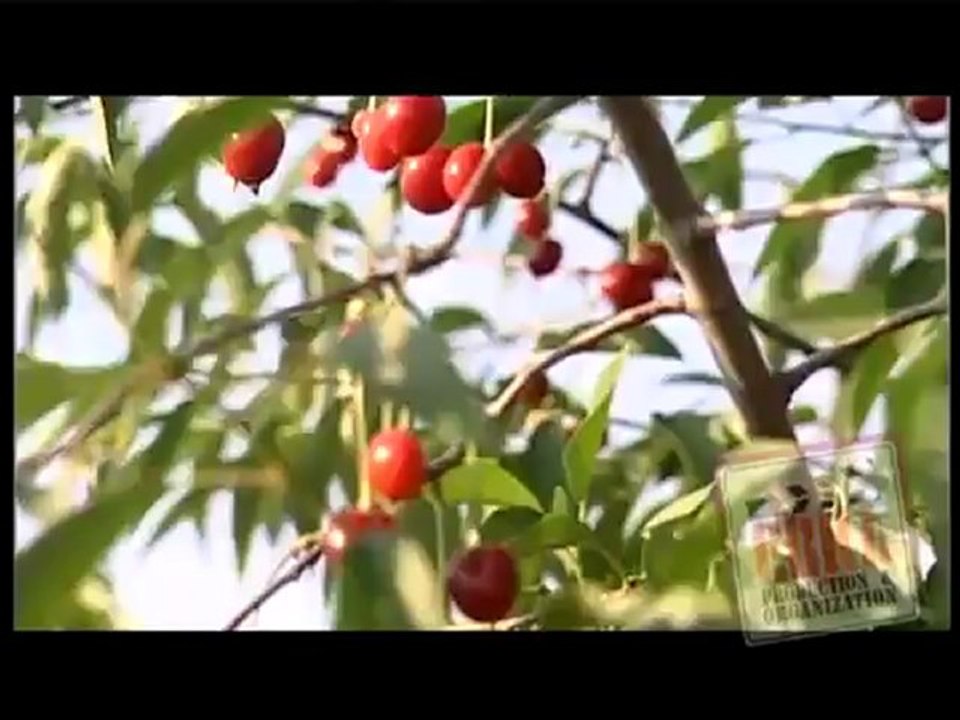 KONYA TANITIMI