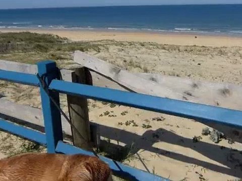 Lacanau Surf Report Vidéo - Lundi 14 Mai 11H30