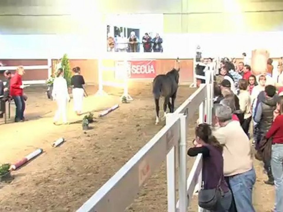 Emio