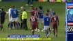 Tim Cahill vs Cabaye Fight Brawl After Match - Everton 3-1 Newcastle United