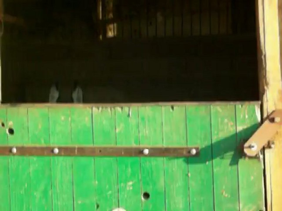 Jobic