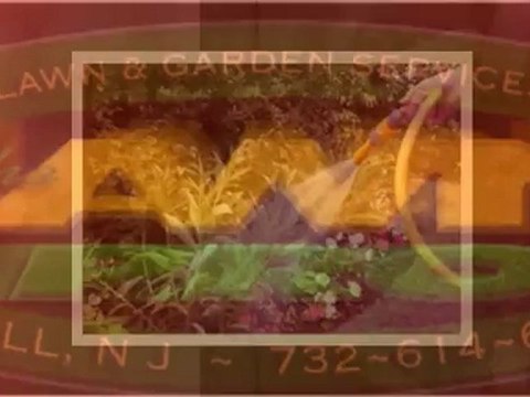 Lawn Fertilization | Lawn Pro Lawn & Garden Services