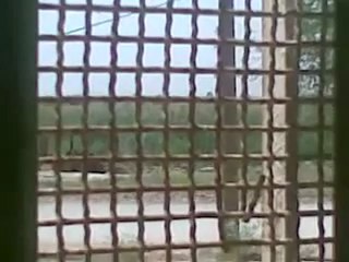 Syria فري برس ديرالزوراقتحام البحوري في موحسن من قبل الجيش الأسدي 13 5 Deirezzor