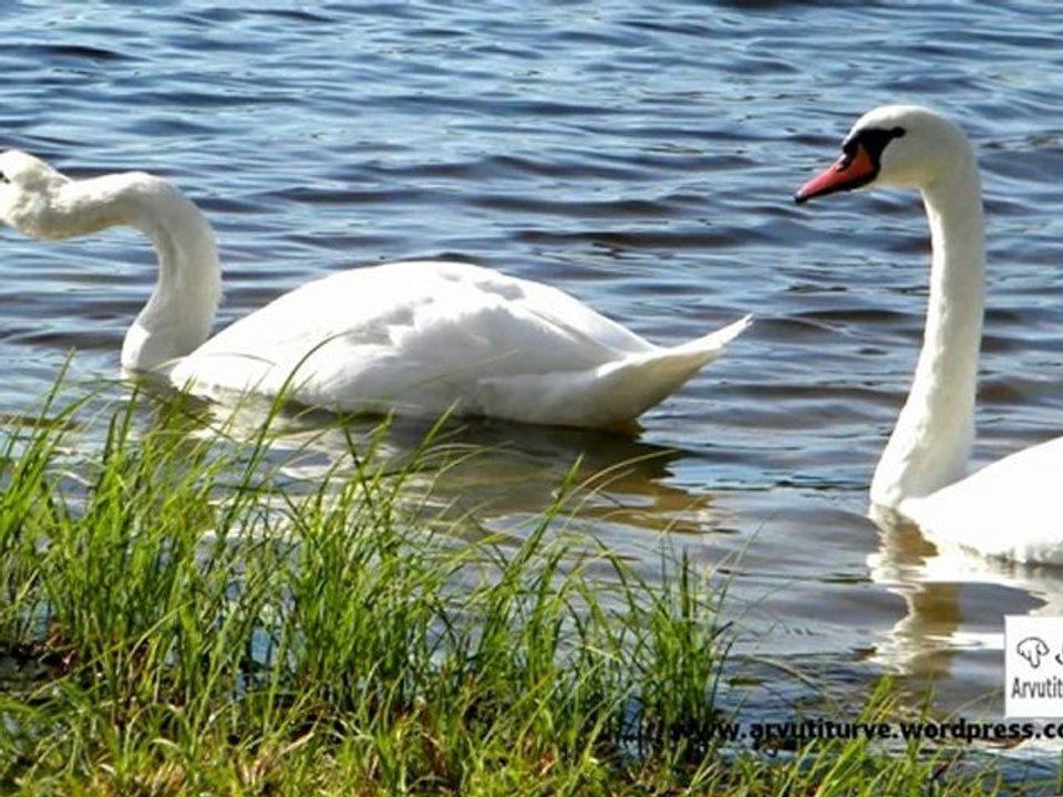 Freeware ZIP,TAR, RAR, ISO archiver for business and home - HaoZip