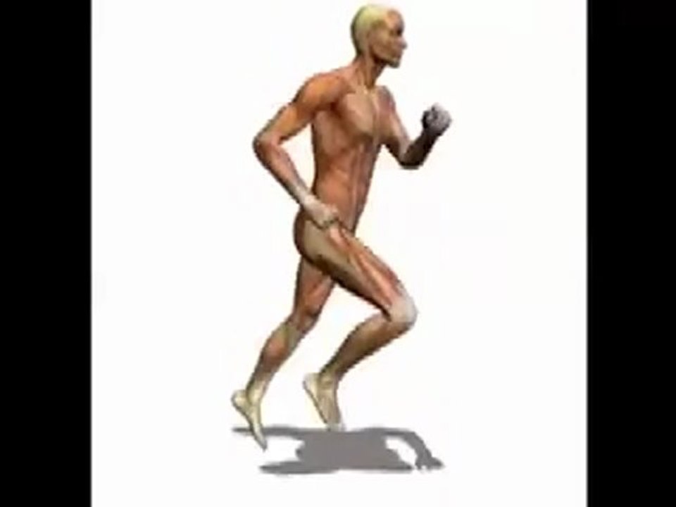 Running Muscles