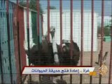 إعادة فتح حديقة الحيوانات في غزة