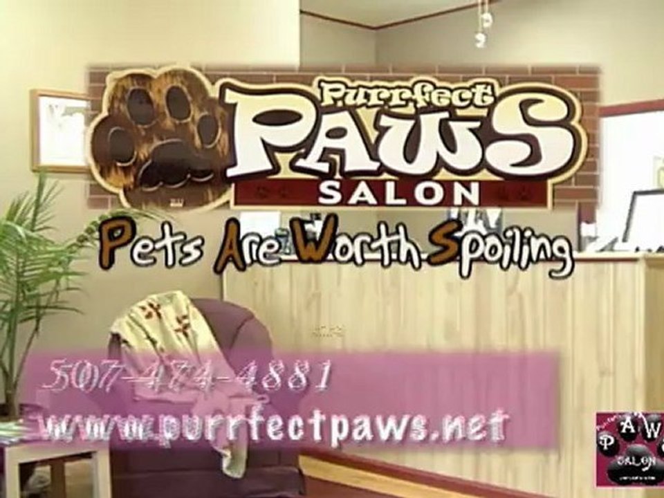 purrfectpaws3