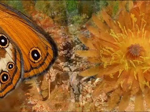 Pour les Alpes, multivision sur les espaces protégés alpins