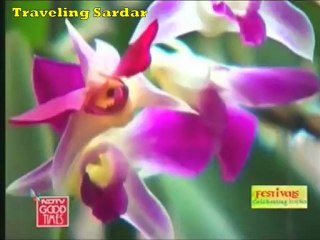 Rongali Bihu (Assam)