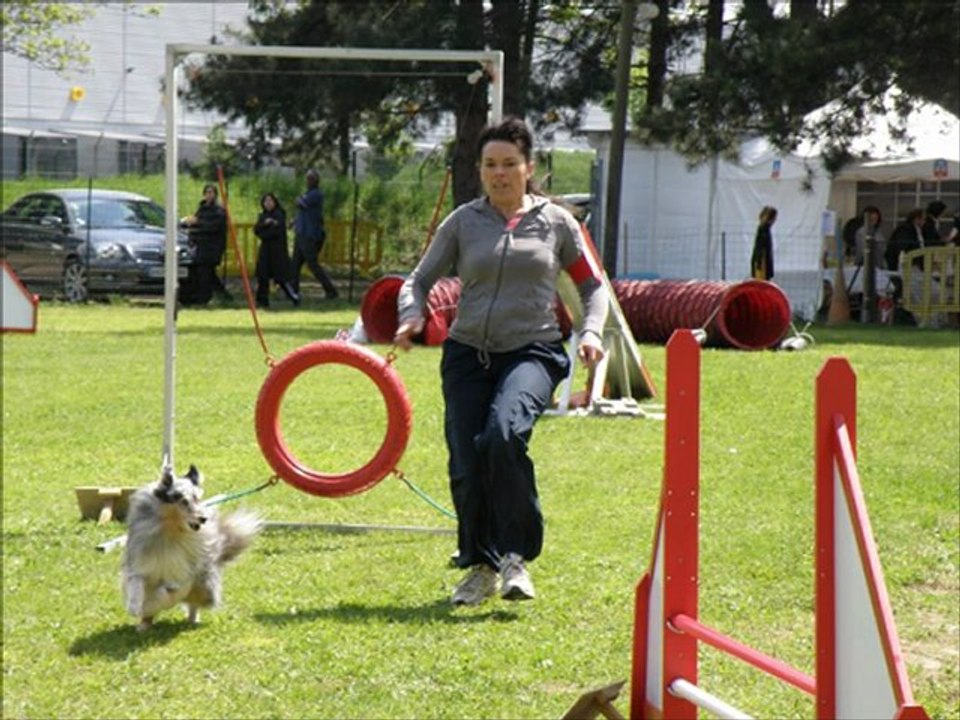 Diaporama2 Concours agility mai 13, 2012