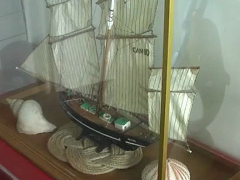 le petrel