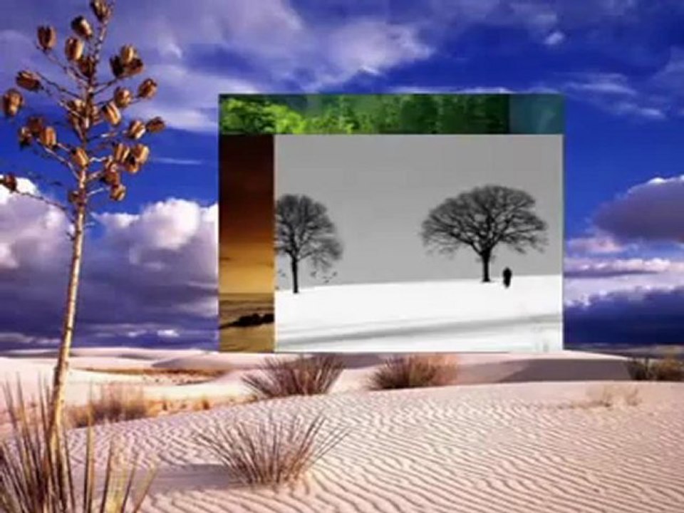 İlhan İrem  Anlasana