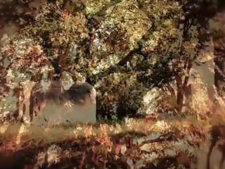 Shelby Lynne - Heaven_s Only Days Down The Road