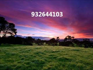 Explore Tarot Readings & Visuals 🌟