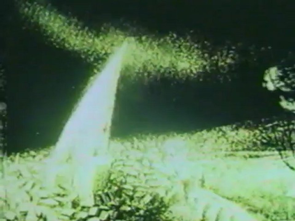 LAFERTOVSKAYA FIG-TREE 1986 lafertovskaya_makovnitsa Elena Petkevich russian animation