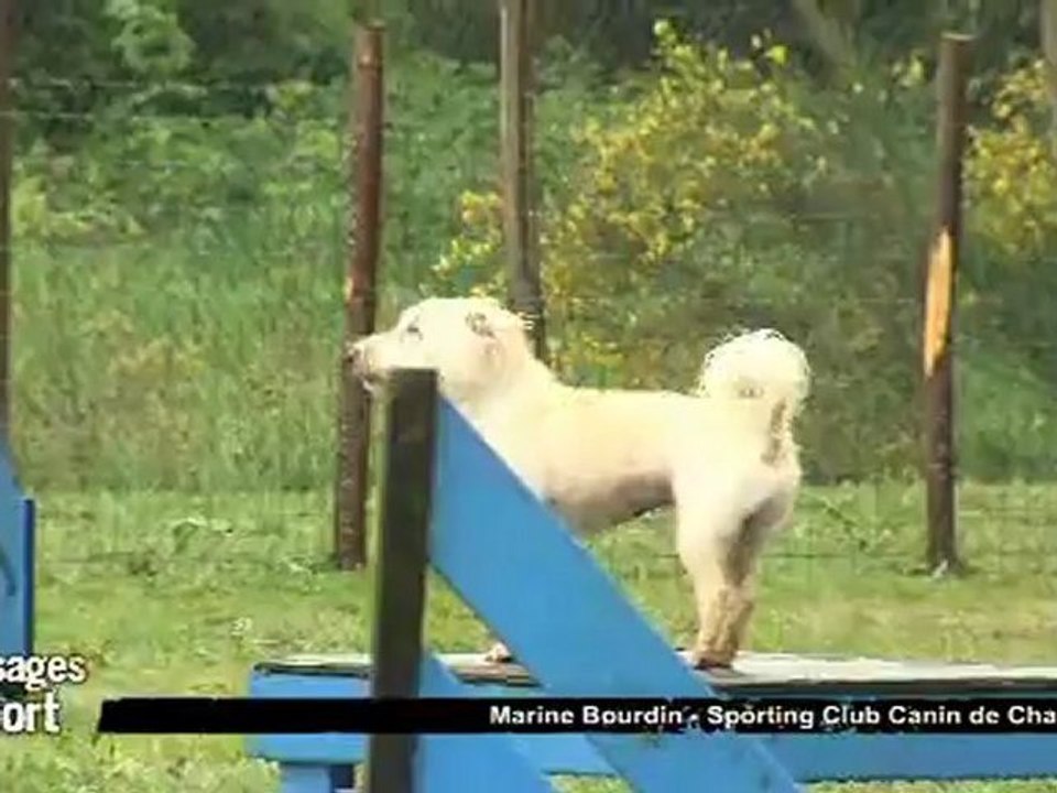Visages du Sport : Marine Bourdin - Obé Rythmée / Agility