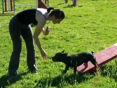 Vodka et le parcours de 50 obstacles 2012-05-14