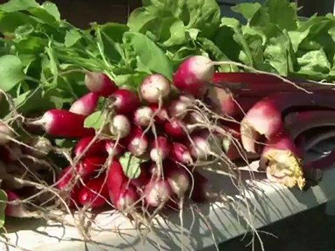 Journée portes ouvertes aux serres municipales de Fécamp