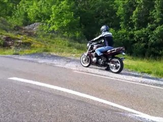 nouvelle arsouille nouveau pot