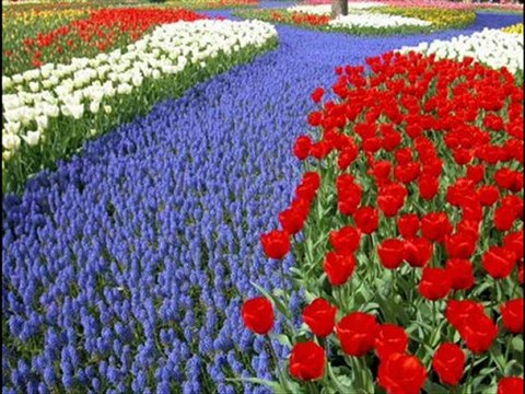 Dursun Tiftik / Mâvi Şiirlerimin Kadını