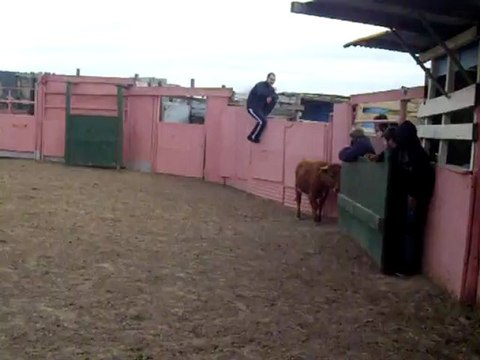 Despedidas solteros solteras en Logroño.