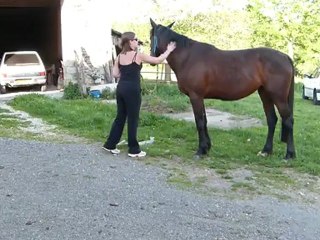 Etoile et micro-exos de la Cense...