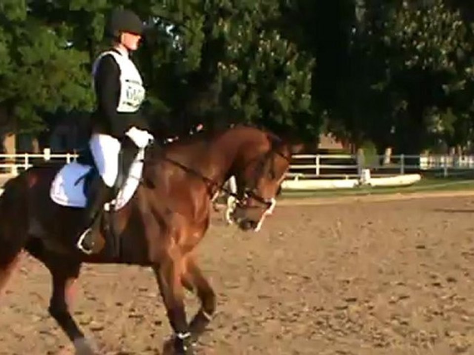 Détente Dressage CL 5 ANS Jardy