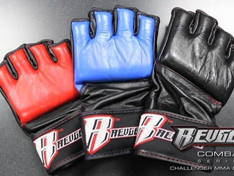 Revgear Challenger MMA and Grappling Glove - Combat ...