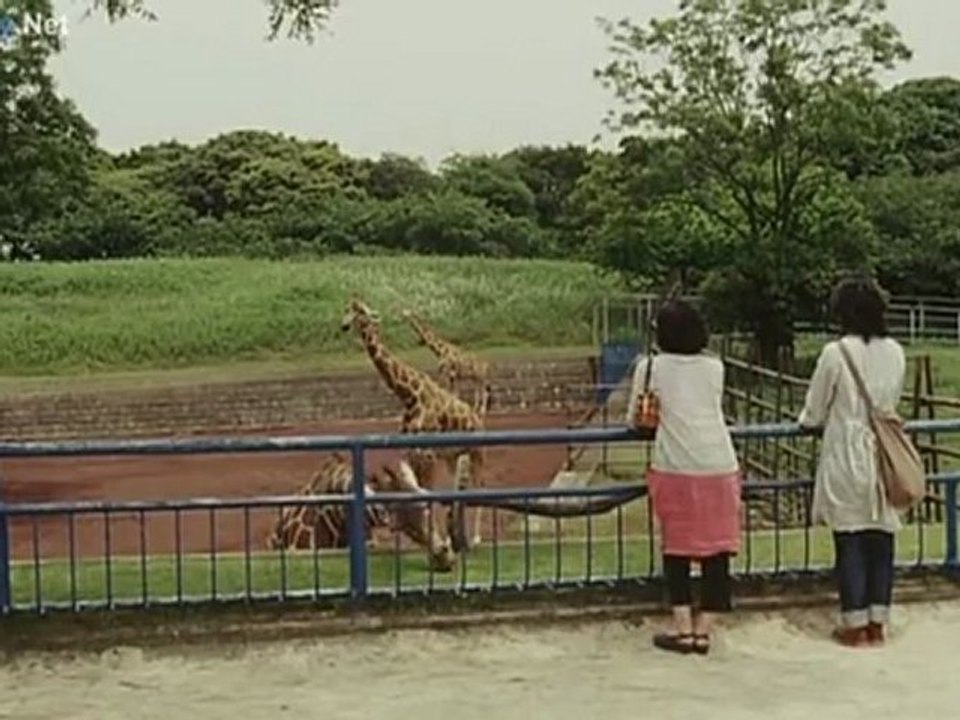 Tokyo.Oasis.2011.part5