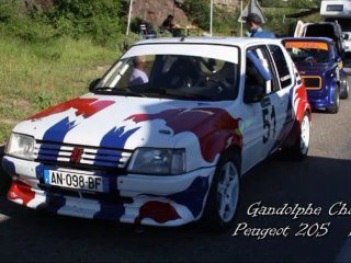 Charly Gandolphe - Course de côte du Muy 13/05/2012 - Peugeot 205 F2/3