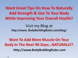 Bodybuilding Workout Program - building muscle mass 04-28