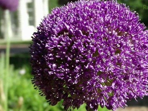 Review: Sony Cybershot DSC-HX30 Camera - SoldierKnowsBest