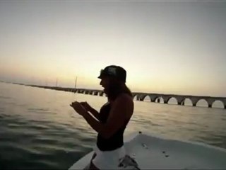 Best Shark Attack Video