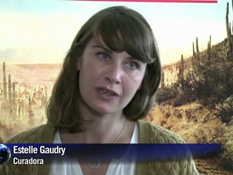 Brasileño Walter Salles a Cannes