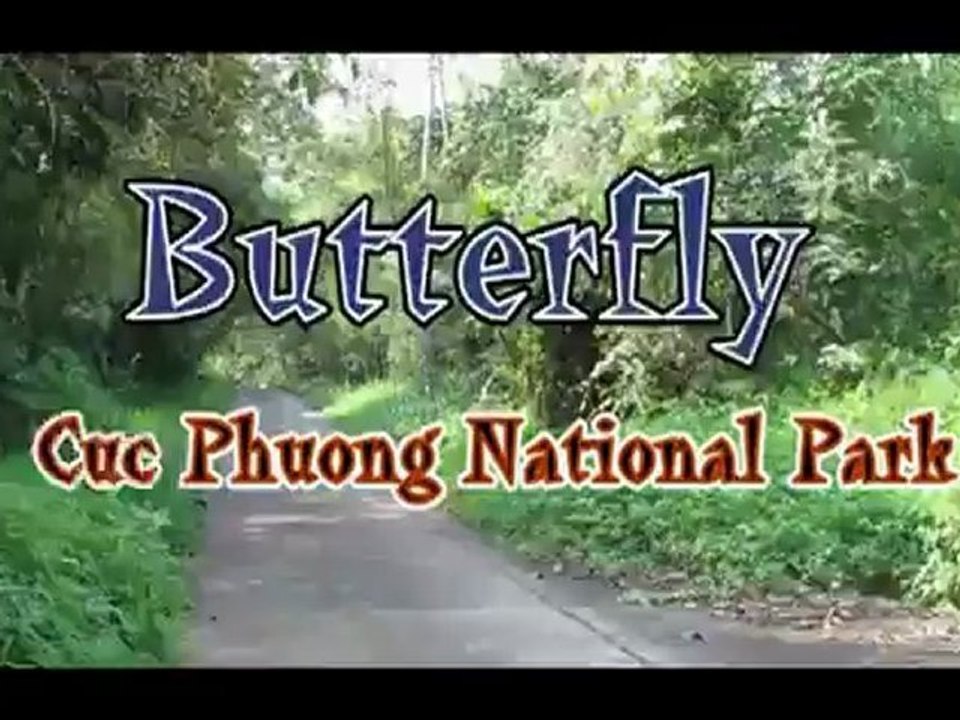 Holidays Vietnam Honeymoon Packages, Vietnam Luxury Tour, Vietnam Holiday with Vietnam Honeymoon Tours - Holidays Vietnam Honeymoon Packages, Vietnam Luxury Tour, Vietnam Holiday with Vietnam Honeymoon Tours