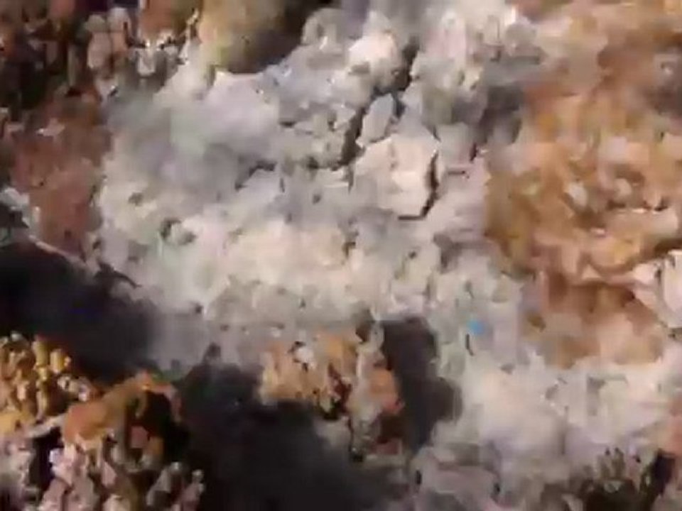 La piscine naturelle