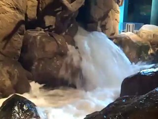 Part 5 - Name the different kinds of fish in  this video